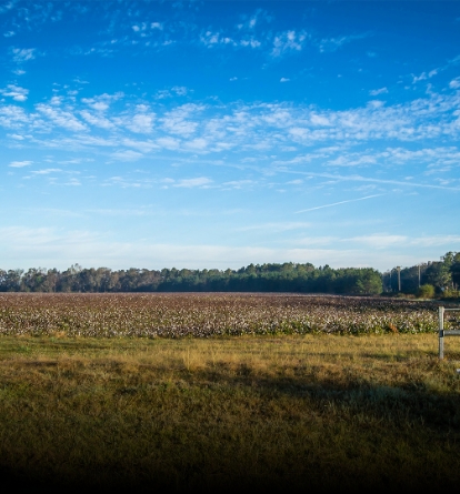 Field